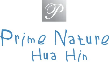 logo-Prime-nature-huahin - ลูกค้าโรงพิมพ์ธนะพัฒน์
